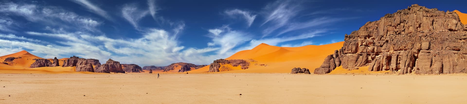 El Ciprés de Duprez del Tassili